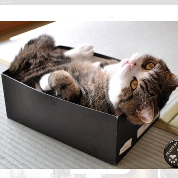 🌿I Pack With Care & Bubble Wrap🌿 - Picture 12 of 16